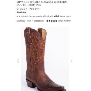 Shyanne Snip Toe Western Heeled Boots - Brown